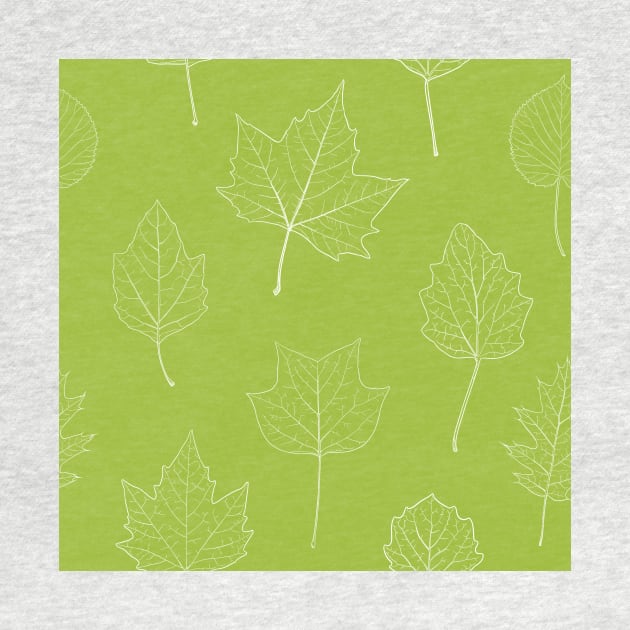 Leaf sketches by StefanAlfonso